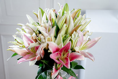 Fresh Lilies