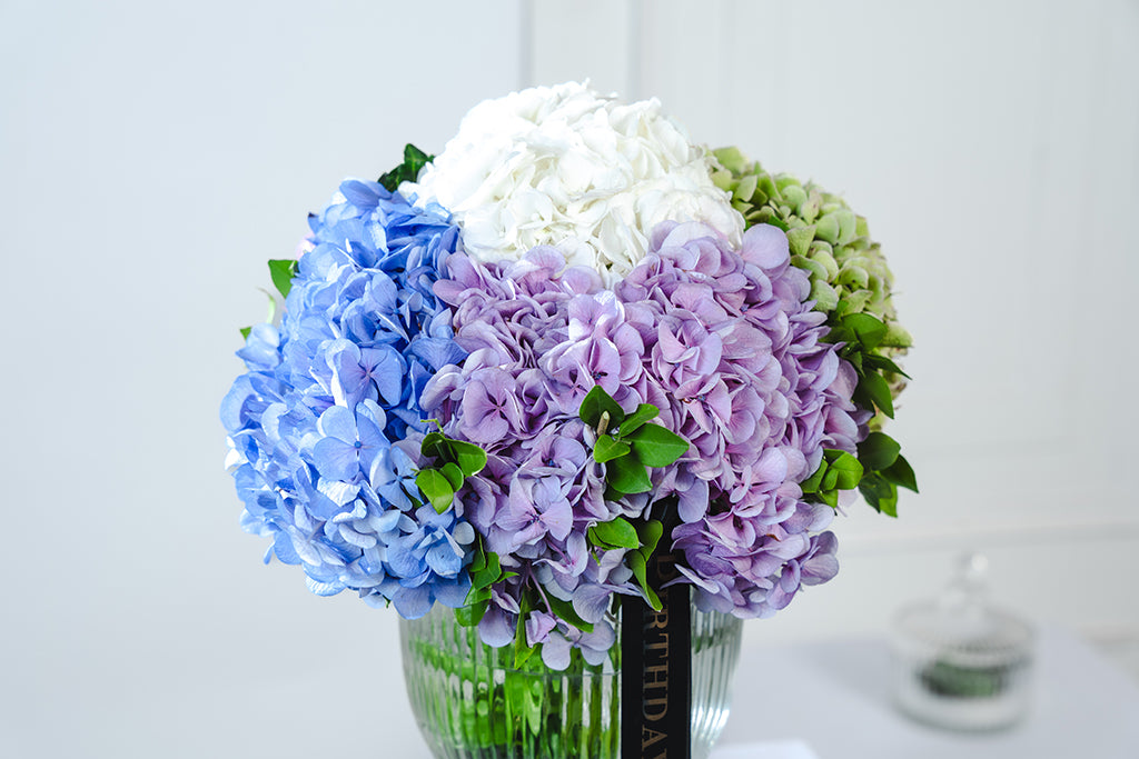 Hydrangeas Vase